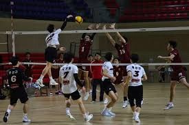 科尔・帕尔默潜在加盟利物浦引起关注——拭目以待